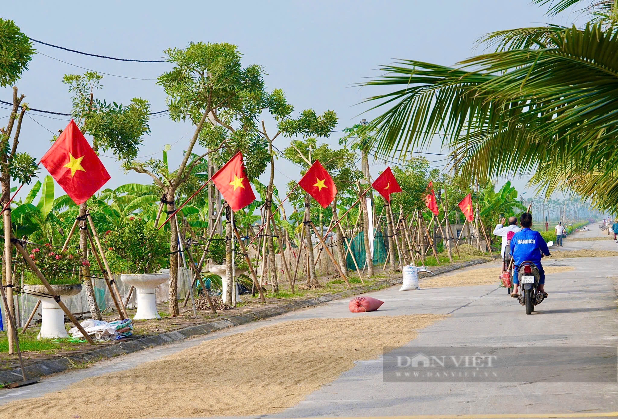 Ngoại thành Hà Nội trang hoàng cờ hoa rực rỡ chào mừng 70 năm Ngày Giải phóng Thủ đô - Ảnh 8.