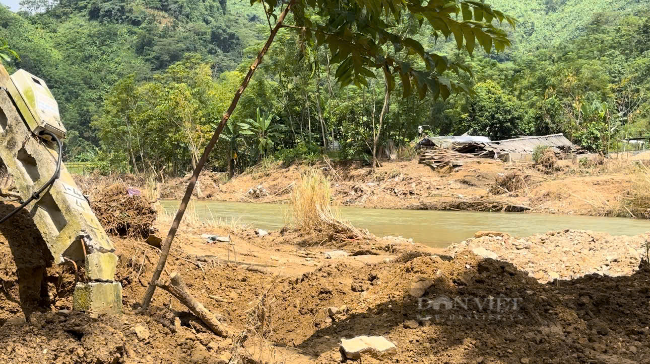 Nông dân kiệt sức sau bão lũ lịch sử: Dân có nguy cơ thiếu đói bên "bờ xôi ruộng mật" (Bài 4) - Ảnh 4.