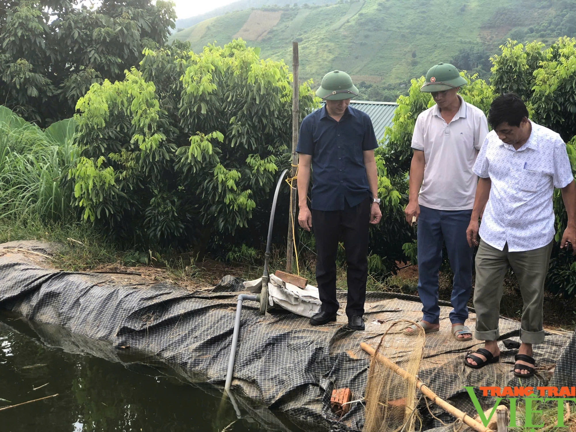 Ứng dụng công nghệ, nhãn Sơn La từ "lép vế" thành cây mũi nhọn - Ảnh 4.