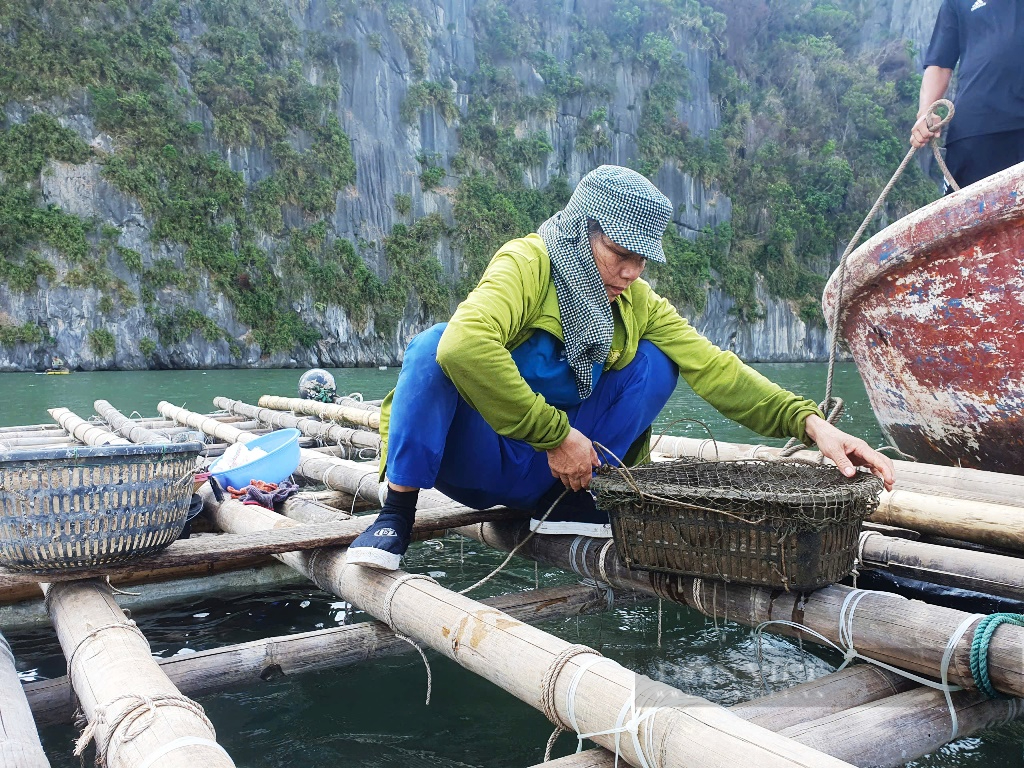 Cát xốp là gì mà dân nuôi ngao, thưng, sần ở Quảng Ninh đang ngóng chờ từng ngày để vào vụ nuôi mới?- Ảnh 3.