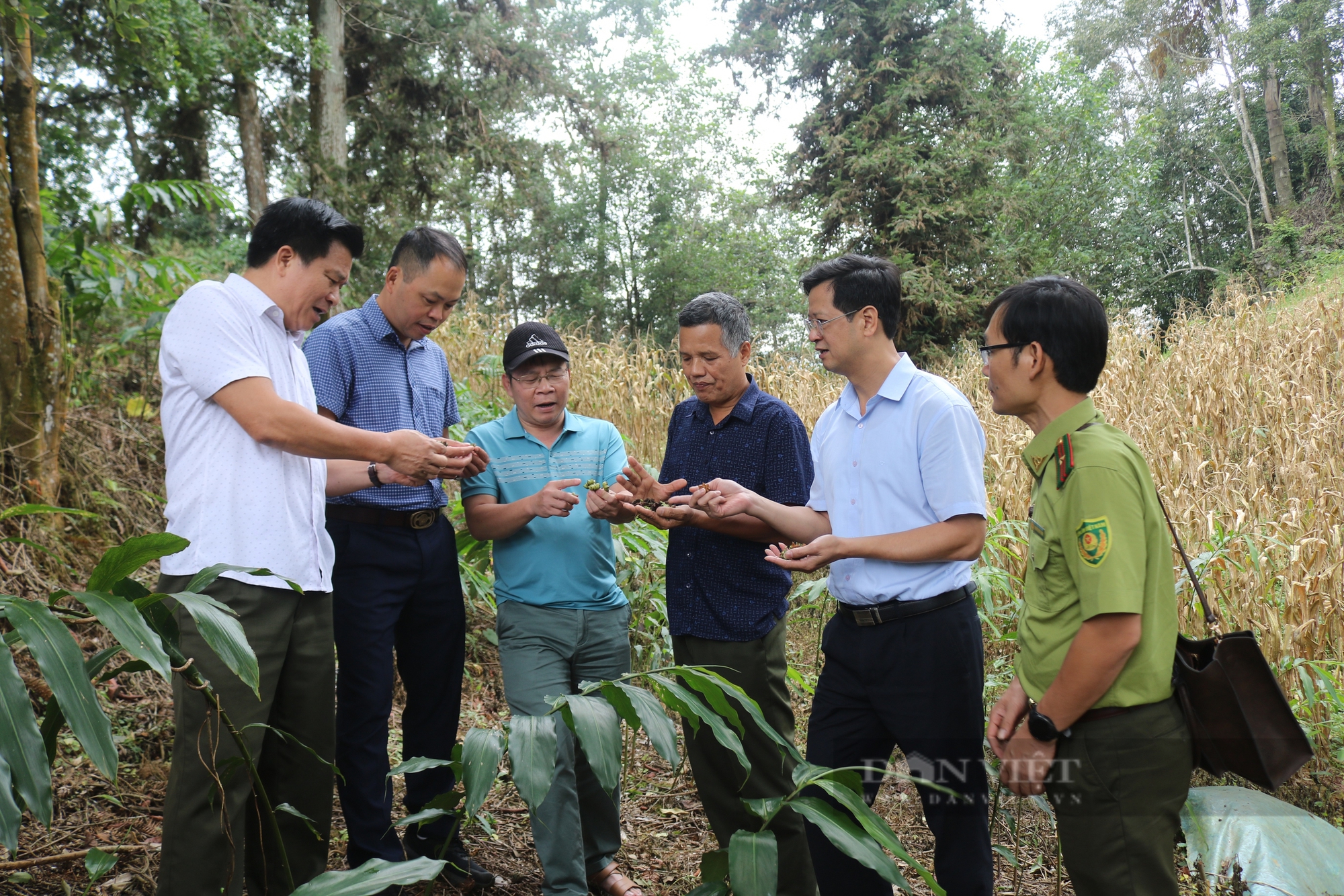 Tiềm năng phát triển ngành hàng hồi trên địa bàn Lào Cai - Ảnh 5.