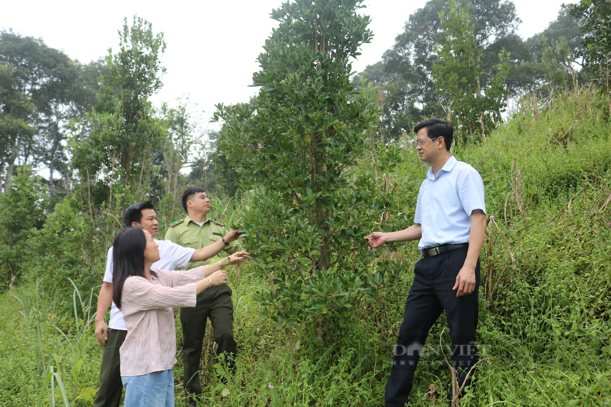 Tiềm năng phát triển ngành hàng hồi trên địa bàn Lào Cai - Ảnh 8.