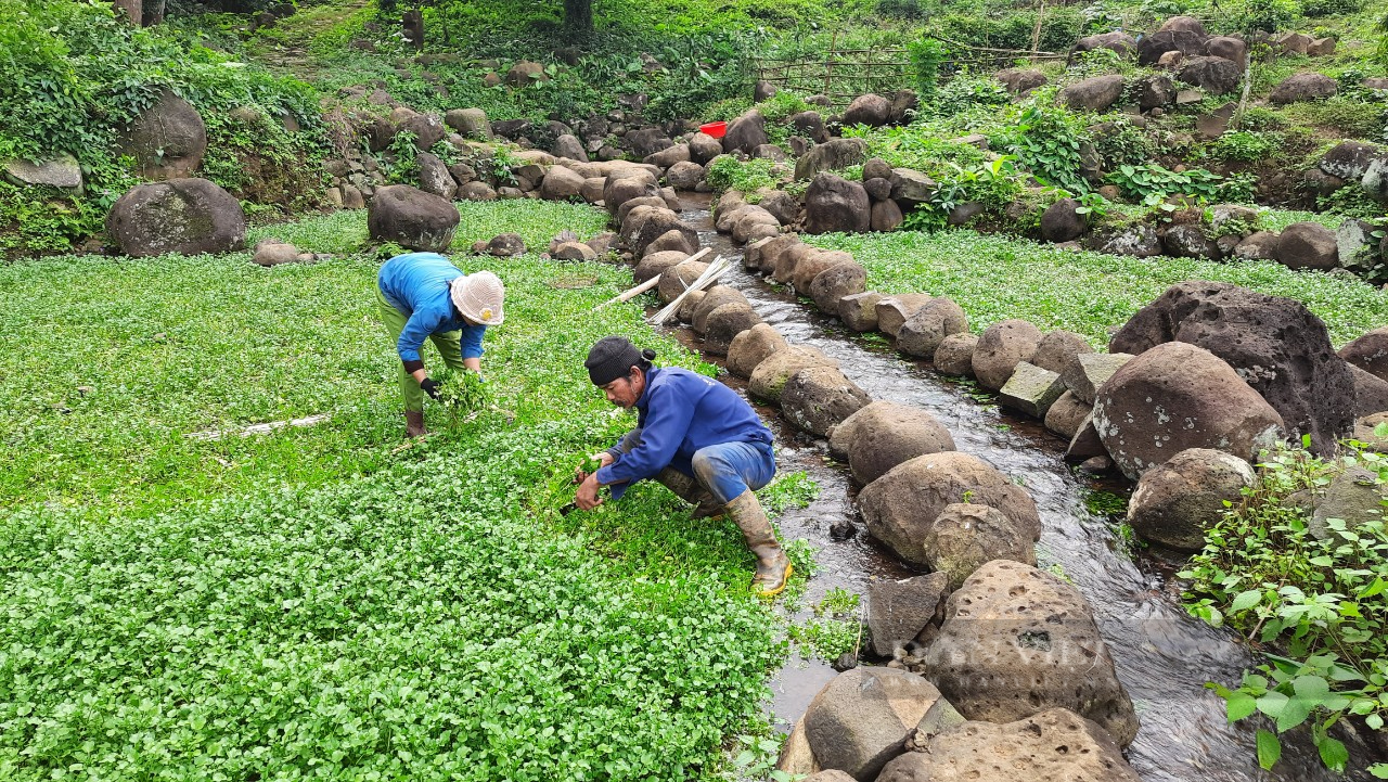 Phấn đấu để TP.Đông Hà và giếng cổ Gio An được UNESCO công nhận- Ảnh 1.