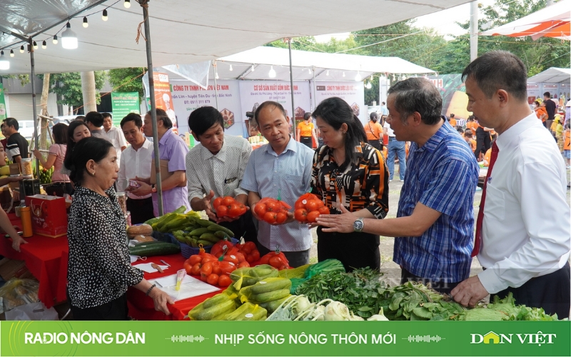 Nhịp sống nông thôn mới ngày 11/10/2024 - Ảnh 1.