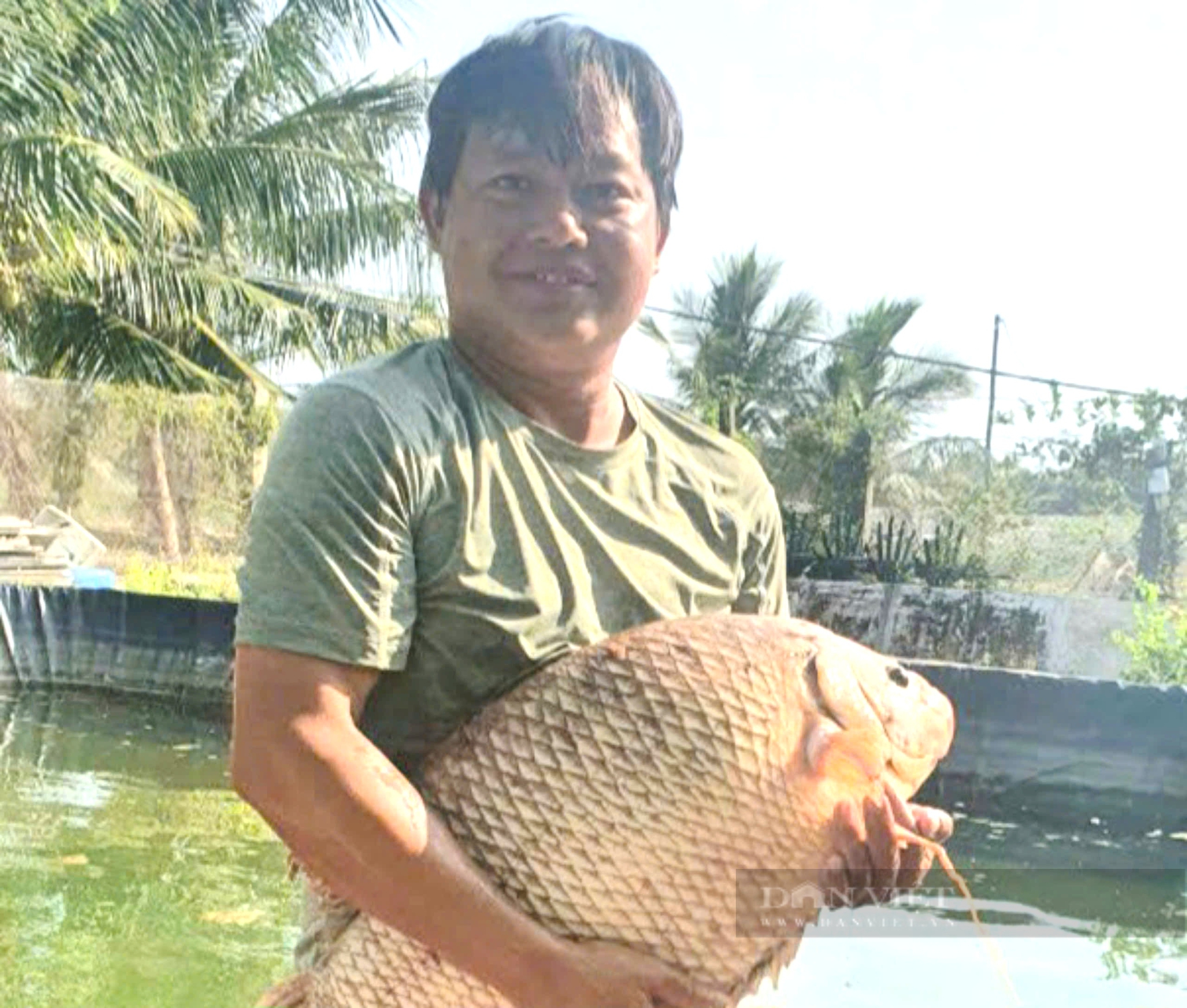 Làm chuyện ngược đời, ông nông dân ở Bến Tre muốn đưa con tôm càng lột cấp đông ra thế giới   - Ảnh 1.