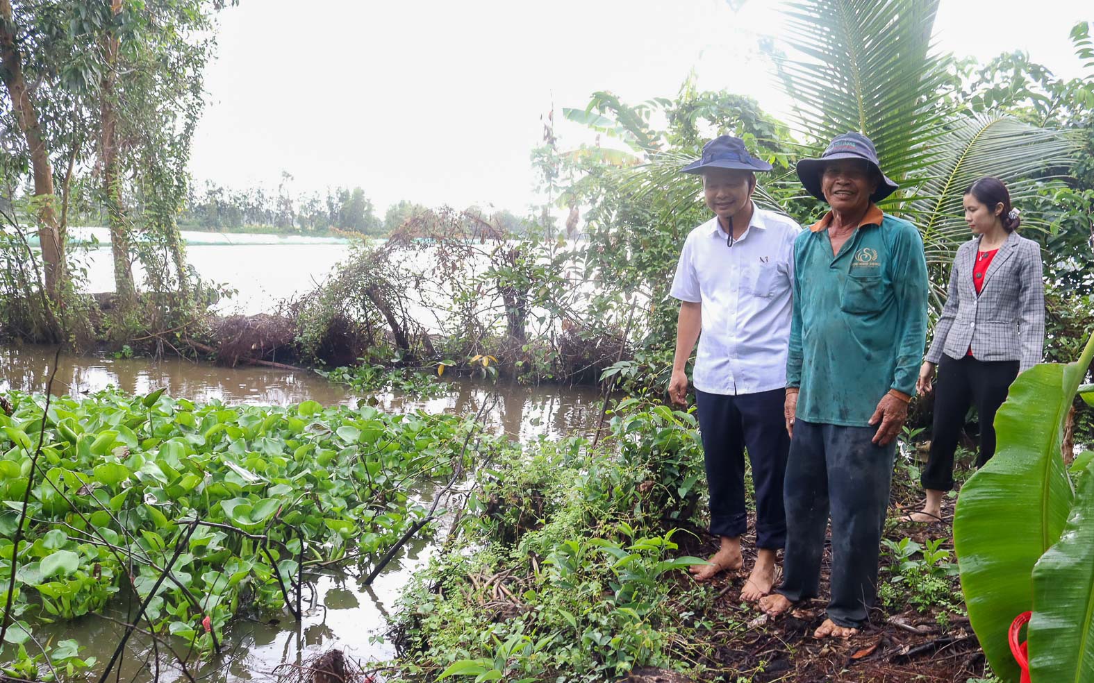 Một ông nông dân Bến Tre nuôi tôm càng, con động vật bơi giật lùi, tự lột vỏ, mong bán chợ toàn cầu - Ảnh 2.