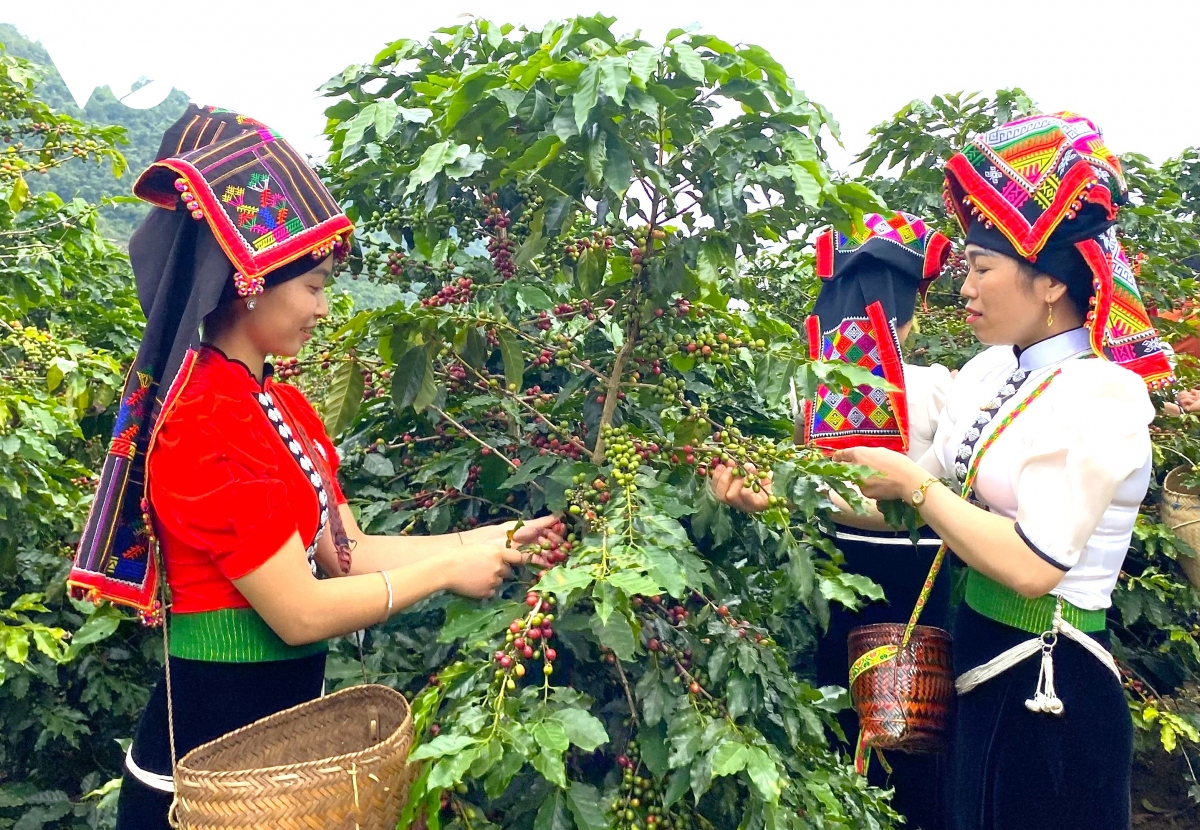 Quỹ ngoại đầu tư không hoàn lại và dành lời khen "có cánh" cho Tập đoàn Phúc Sinh - Ảnh 4.