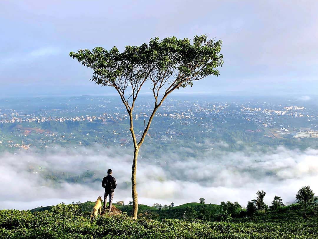 Không phải Tà Xùa, Y Tý đây mới là điểm đến săn mây với view triệu đô khiến giới trẻ săn lùng, thích thú - Ảnh 3.