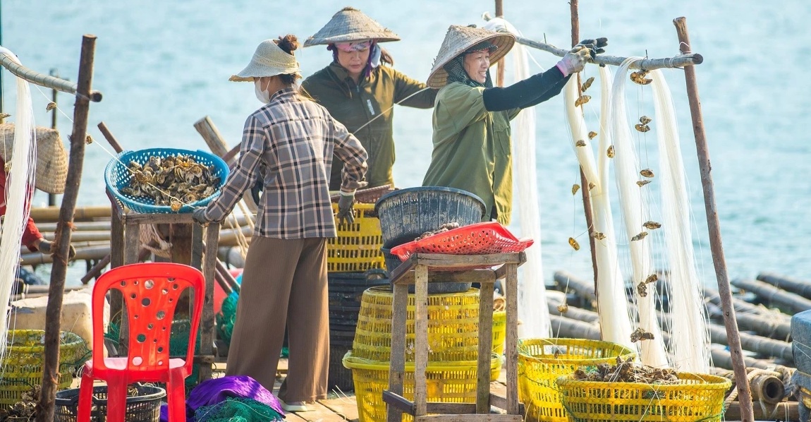 Ngành thủy sản Vân Đồn vực dậy sau siêu bão Yagi - Ảnh 2.