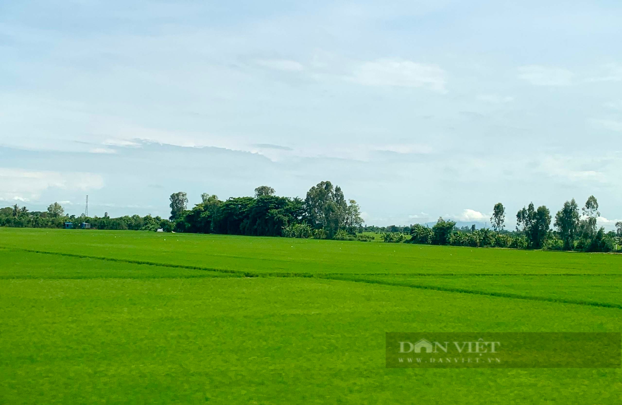 Tôn vinh người nông dân là tôn vinh người bảo vệ văn hóa truyền thống nông thôn! - Ảnh 4.