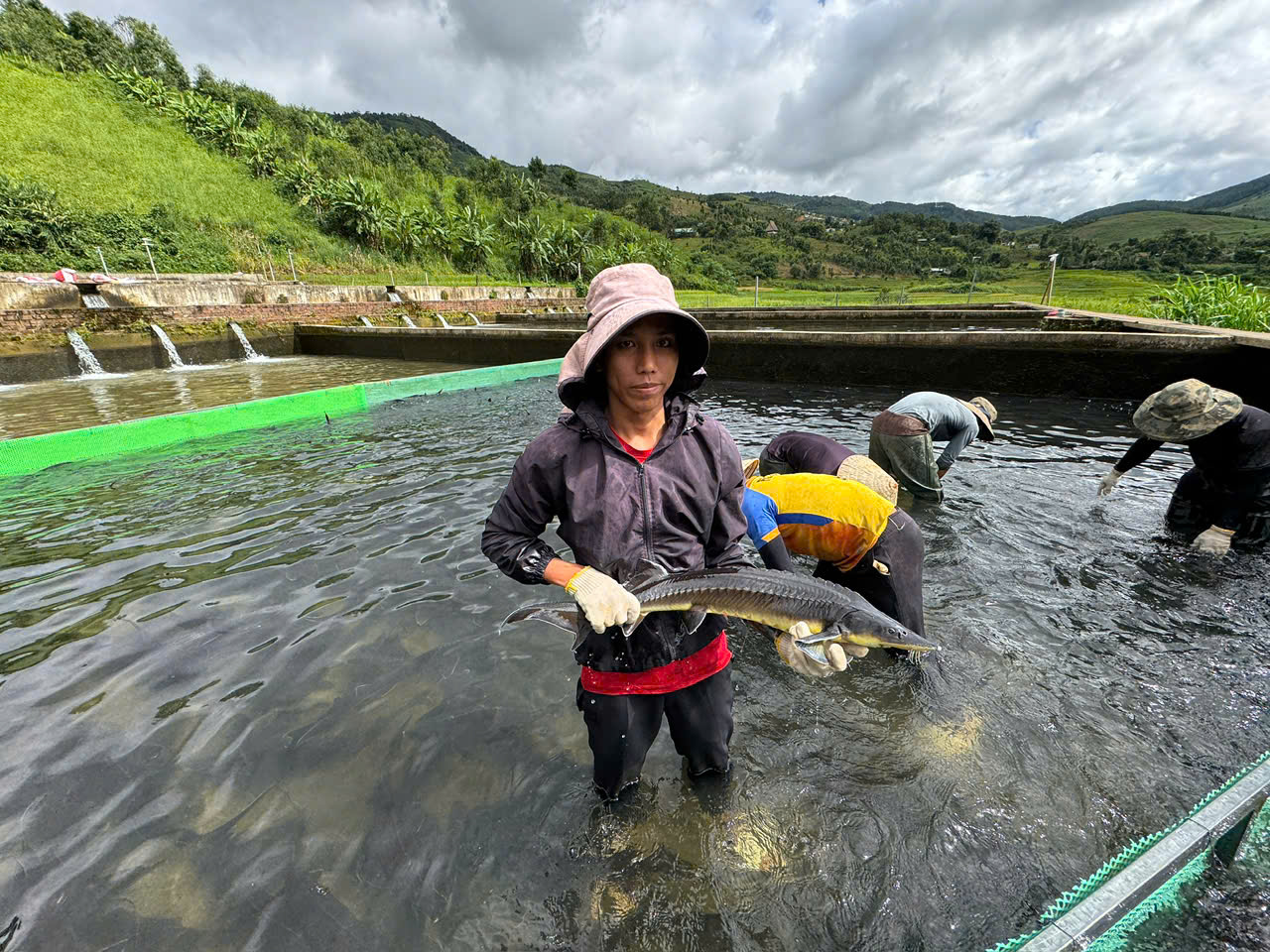 Lên núi nuôi loại cá ưa nhiệt độ thấp, người đàn ông thu hàng chục tỷ mỗi năm - Ảnh 4.