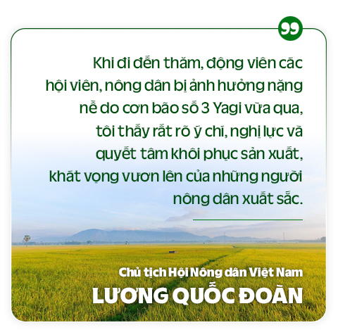 Chủ tịch Hội NDVN Lương Quốc Đoàn: Lắng nghe tâm tư, khát vọng, tôn vinh NDVN xuất sắc, HTX tiêu biểu toàn quốc năm 2024 - Ảnh 17.