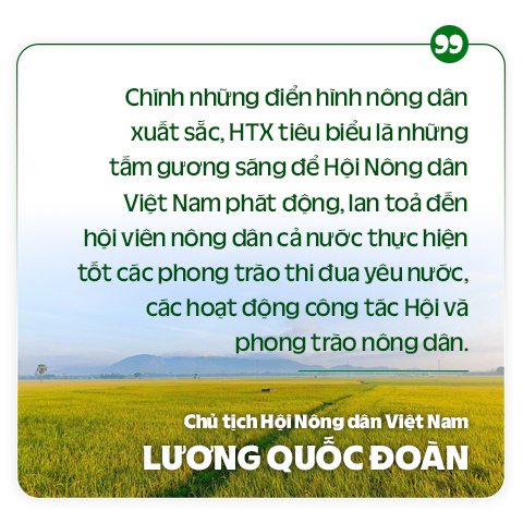 Chủ tịch Hội NDVN Lương Quốc Đoàn: Lắng nghe tâm tư, khát vọng, tôn vinh NDVN xuất sắc, HTX tiêu biểu toàn quốc năm 2024 - Ảnh 25.