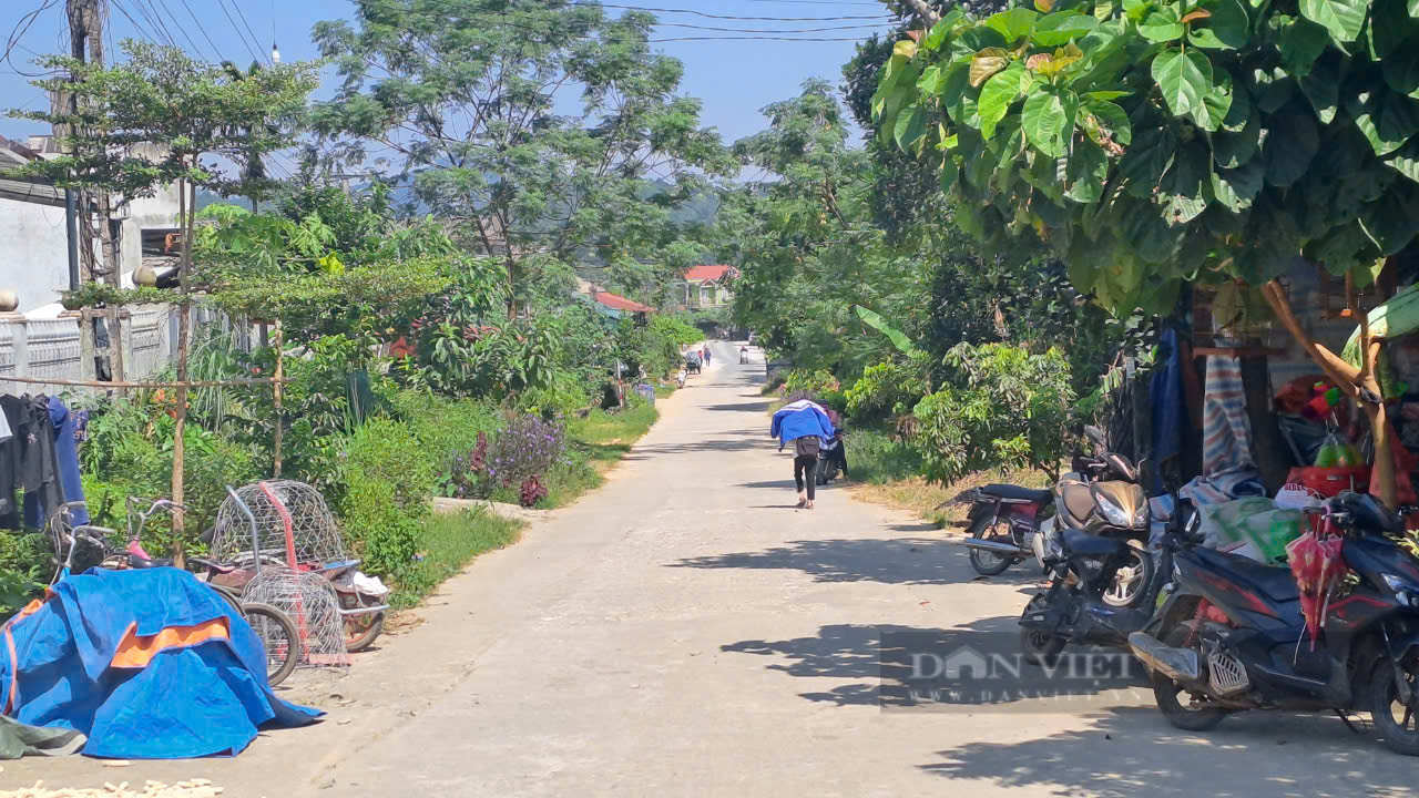 "Đi trước đón đầu" trong xây dựng nông thôn mới kiểu mẫu về chuyển đổi số ở xã vùng cao Yên Bái - Ảnh 5.