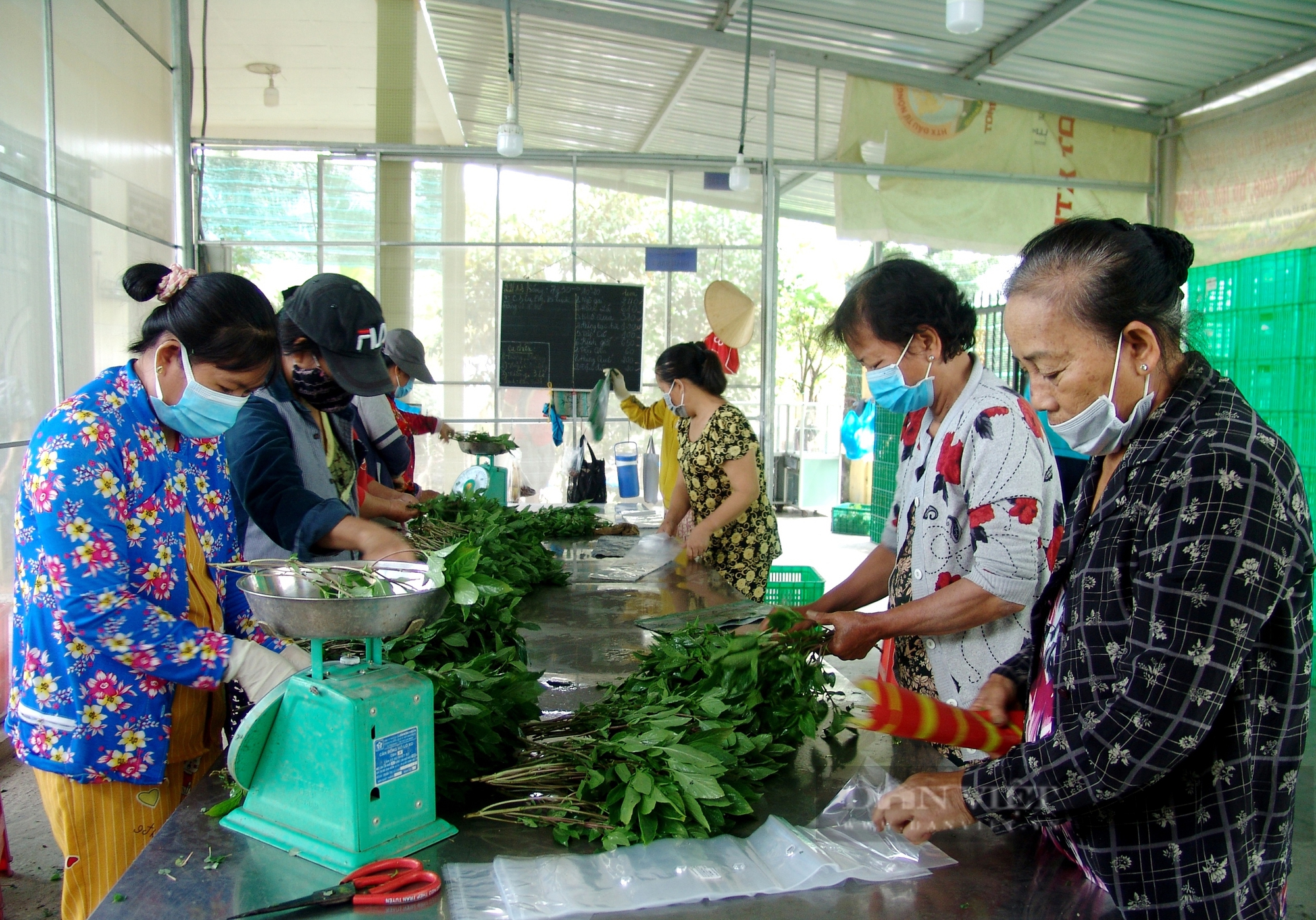 Dứt điểm những HTX nông nghiệp “muốn giải thể cũng không được” - Ảnh 1.