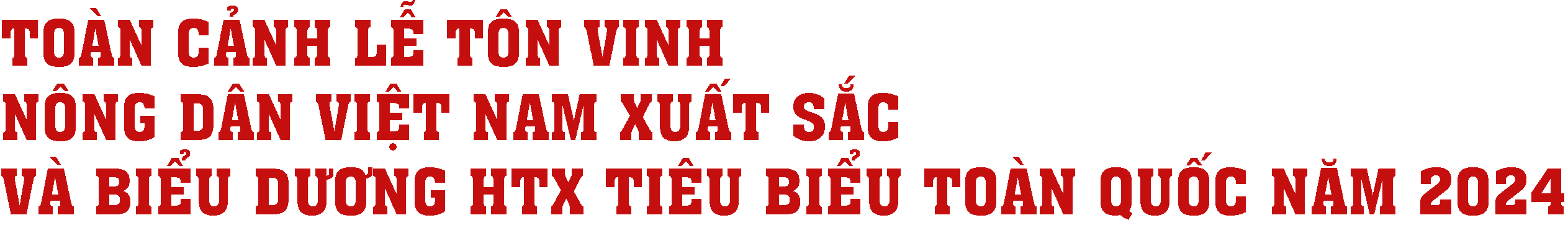 Toàn cảnh Lễ Tôn vinh Nông dân Việt Nam xuất sắc và biểu dương HTX tiêu biểu năm 2024 - Ảnh 1.