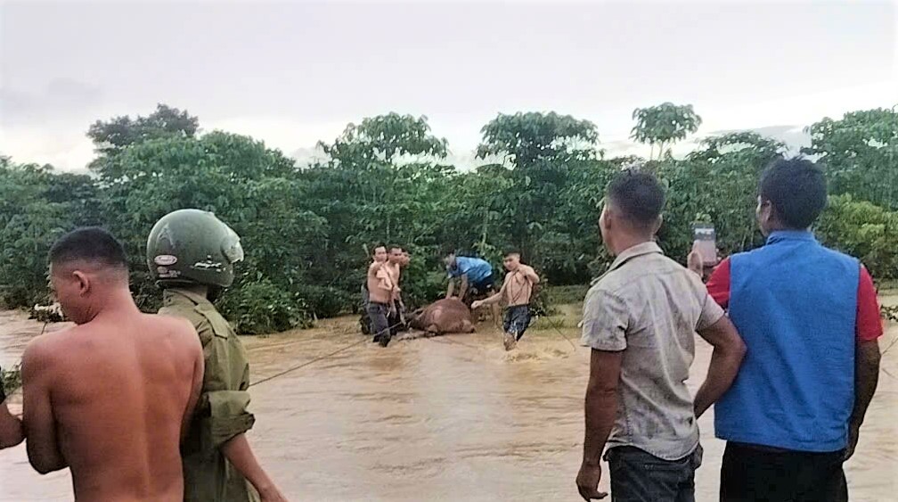 Nước sông dâng cao cuốn trôi nhiều vật dụng, xe máy của người dân tại Lâm Đồng- Ảnh 5.