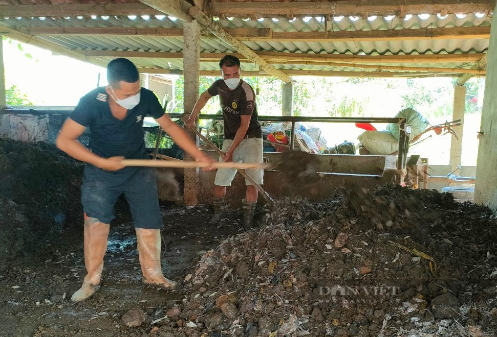 Biến rác thải thành nguồn sống cho cây trồng vì một nền nông nghiệp xanh nhìn từ Nghệ An - Ảnh 3.