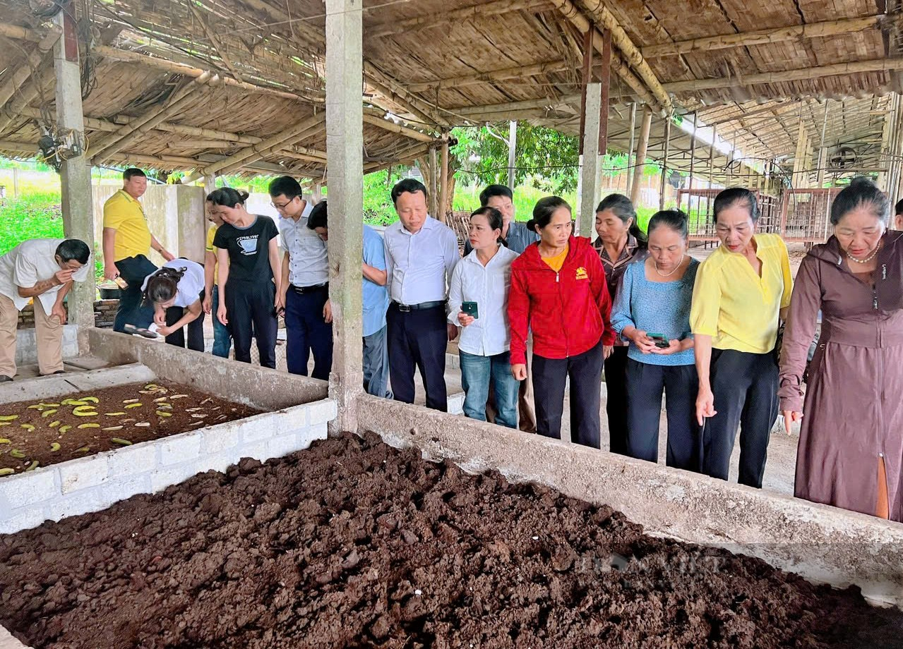 Biến rác thải thành nguồn sống cho cây trồng vì một nền nông nghiệp xanh nhìn từ Nghệ An - Ảnh 4.