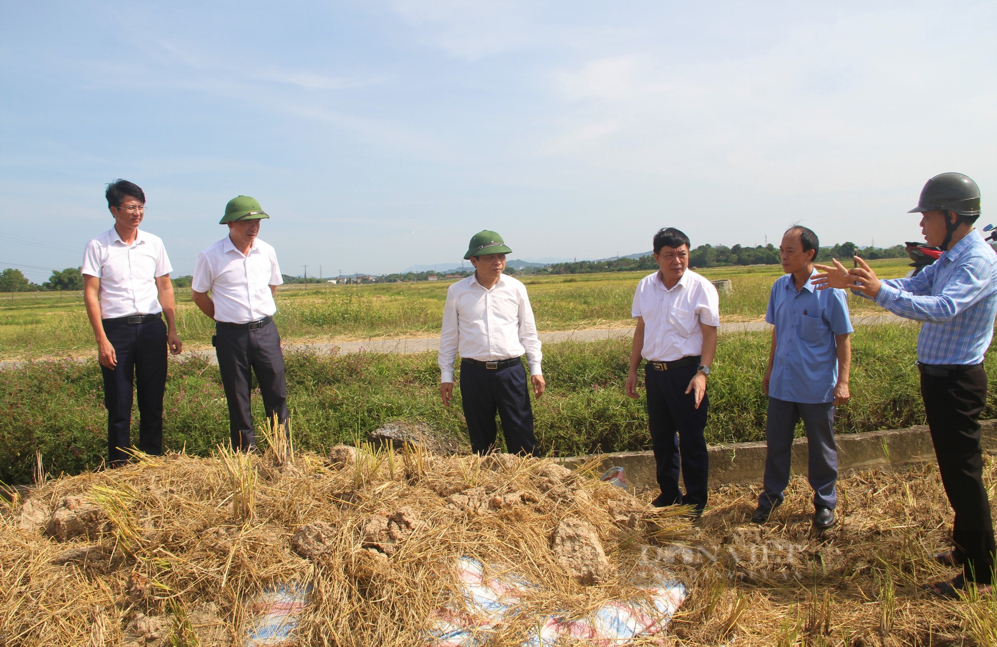 Biến rác thải thành nguồn sống cho cây trồng vì một nền nông nghiệp xanh nhìn từ Nghệ An - Ảnh 5.