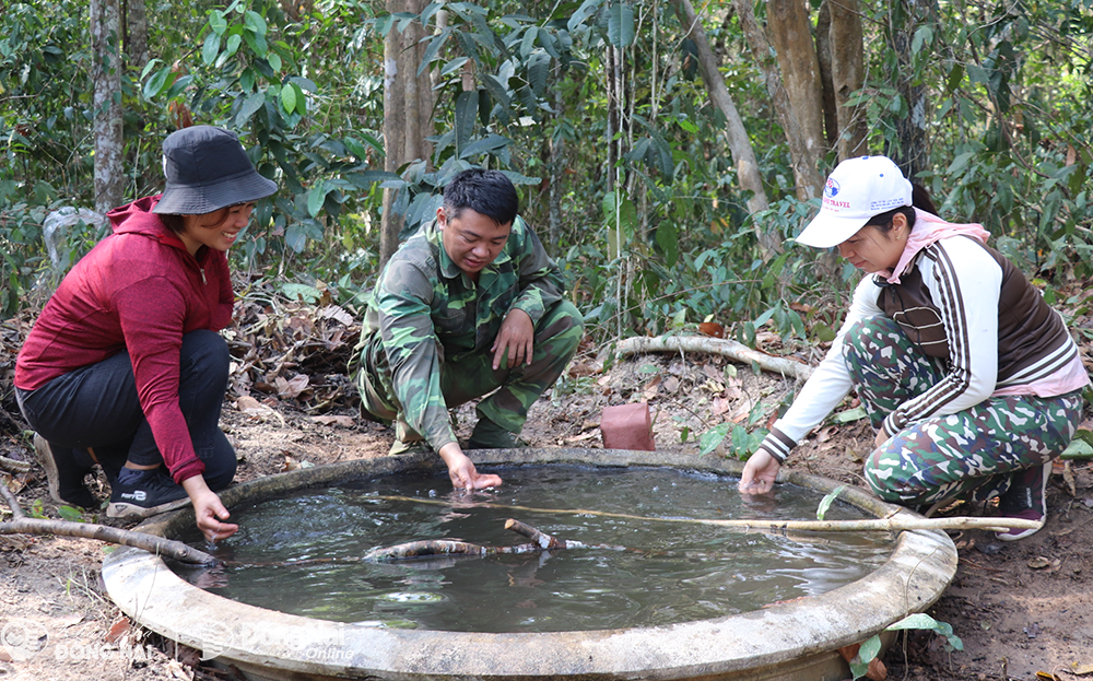 Một khu rừng nổi tiếng Đồng Nai, ban đêm soi thấy động vật hoang dã lang thang đi tìm nước uống- Ảnh 21.