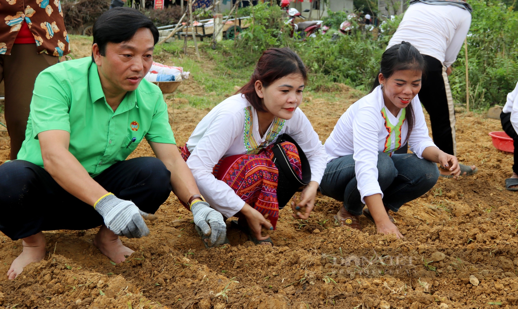 Hà Tĩnh: Hội Nông dân hướng dẫn đồng bào dân tộc Chứt trồng hành tăm phát triển kinh tế - Ảnh 7.