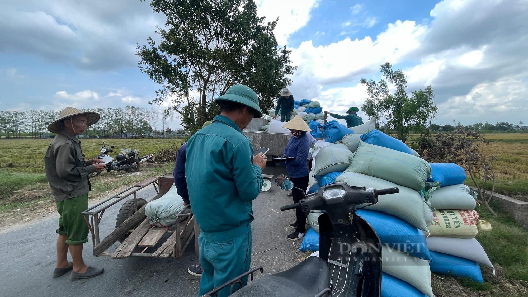 Thái Bình: Thương lái xếp hàng đầu bờ mua lúa mùa giá cao, nông dân đếm tiền cười tươi rói - Ảnh 6.