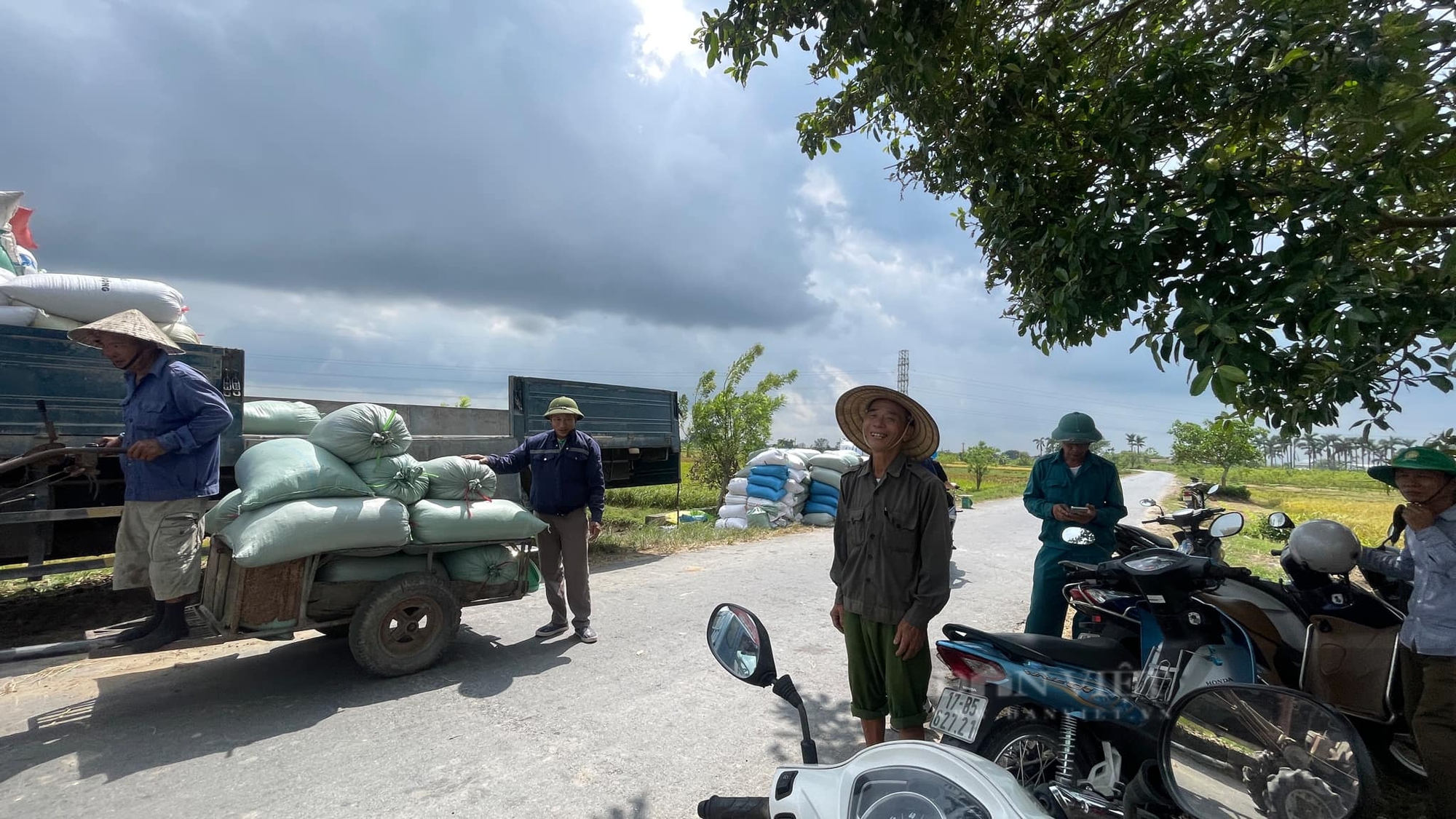 Thái Bình: Thương lái xếp hàng đầu bờ mua lúa mùa giá cao, nông dân đếm tiền cười tươi rói - Ảnh 7.