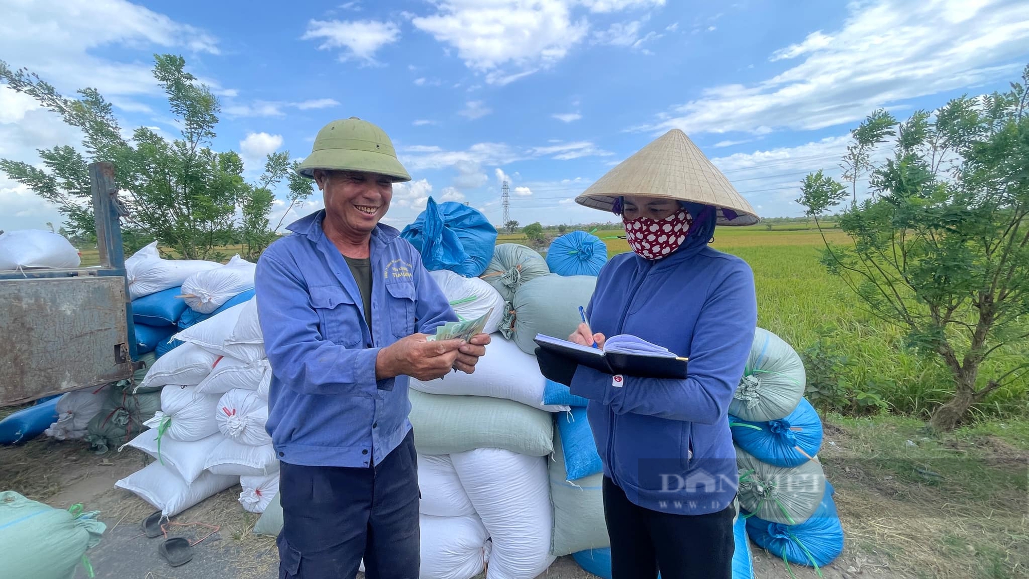 Thái Bình: Thương lái xếp hàng đầu bờ mua lúa mùa giá cao, nông dân đếm tiền cười tươi rói - Ảnh 8.