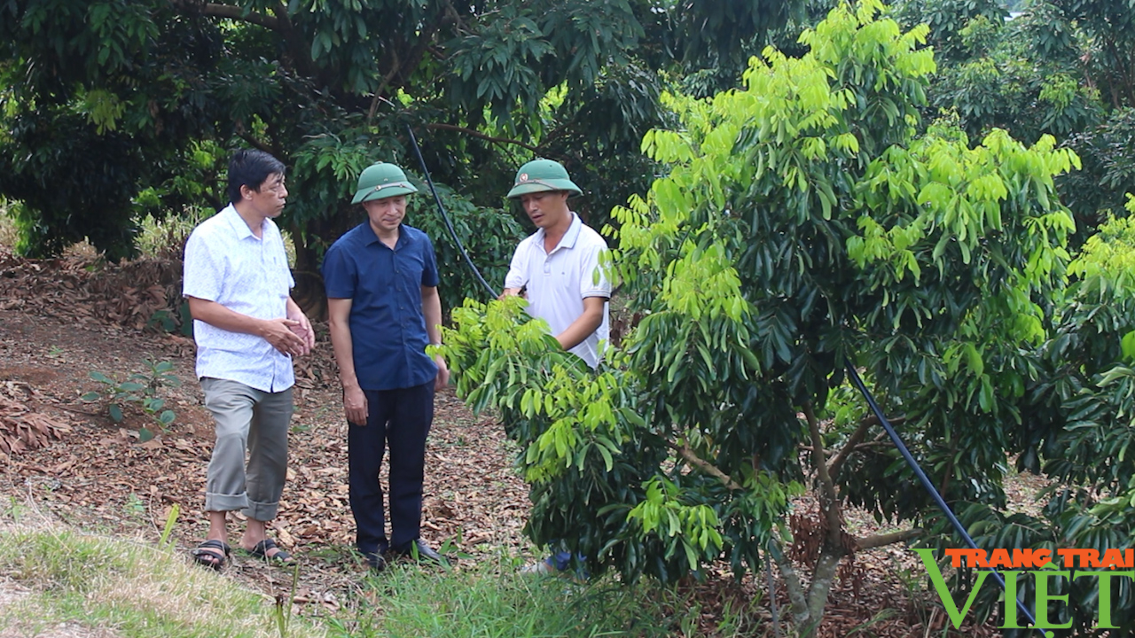 Sơn La: Có 1 Nông dân Việt Nam xuất sắc và biểu dương 1 HTX tiêu biểu toàn quốc được tôn vinh - Ảnh 1.