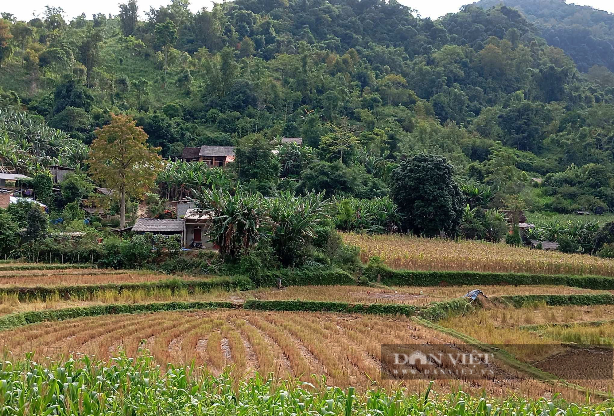 Kỳ vọng của Người có uy tín vào Đại hội IV – Đại hội đại biểu các dân tộc thiểu số tỉnh Bắc Kạn - Ảnh 8.