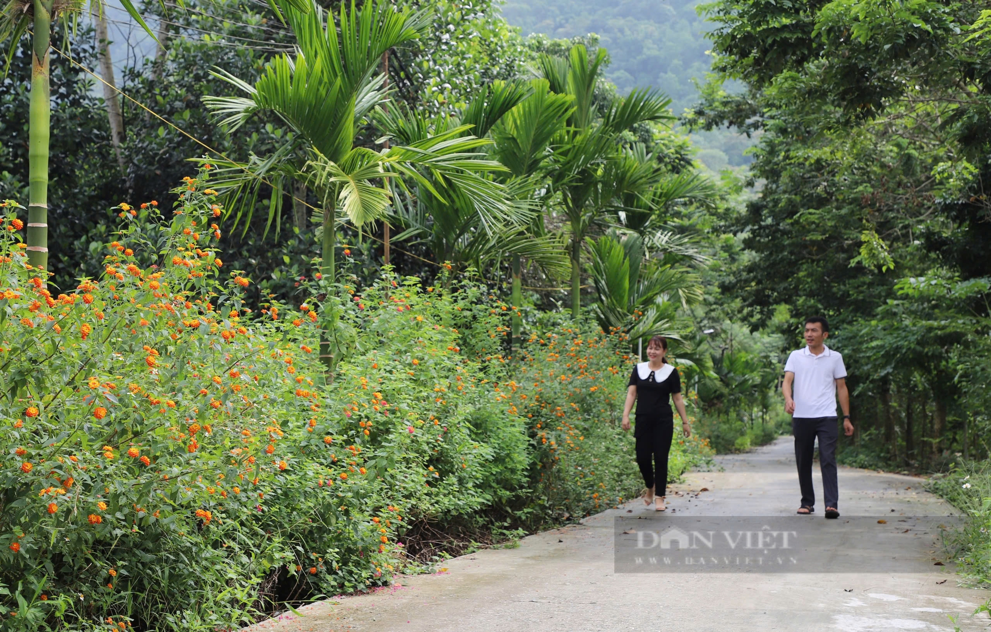 Điểm sáng trong xây dựng nông thôn mới xã vùng khó ở Hà Giang - Ảnh 2.