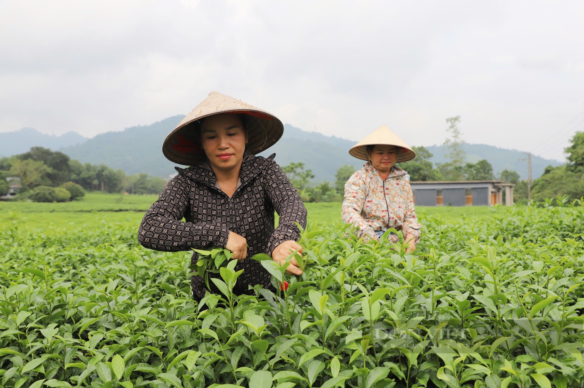 Điểm sáng trong xây dựng nông thôn mới xã vùng khó ở Hà Giang - Ảnh 4.