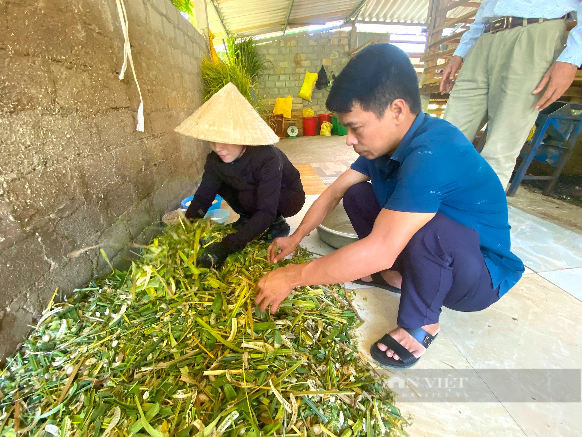 Nông dân Hà Tĩnh nuôi giống dê gì mà to, bự, thịt thơm ngon mà thu về tiền tỷ mỗi năm? - Ảnh 6.