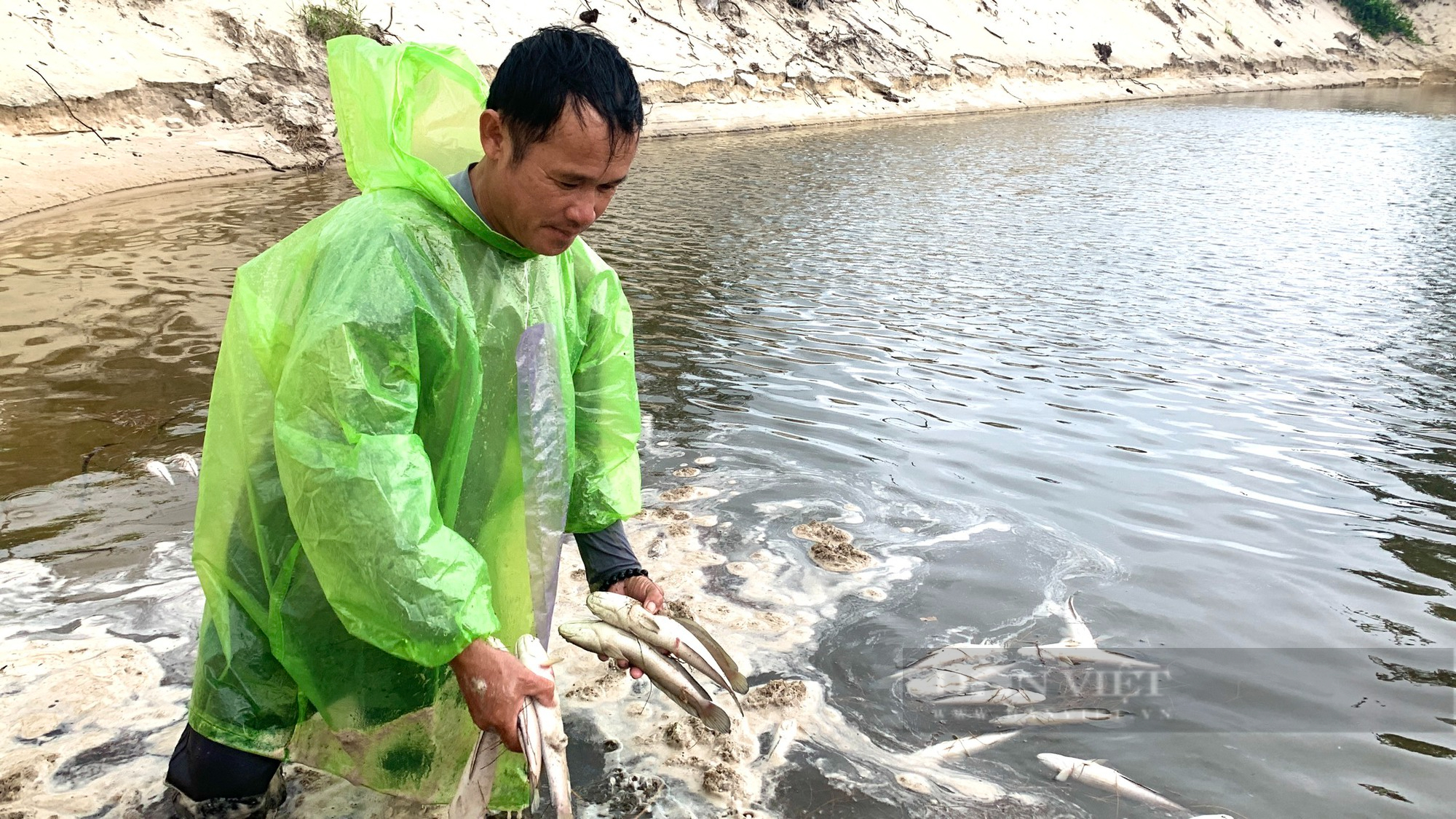 Nông dân nuôi cá lóc trên cát điêu đứng vì giông, sét đánh xuống khu vực điện gió là cá chết- Ảnh 2.