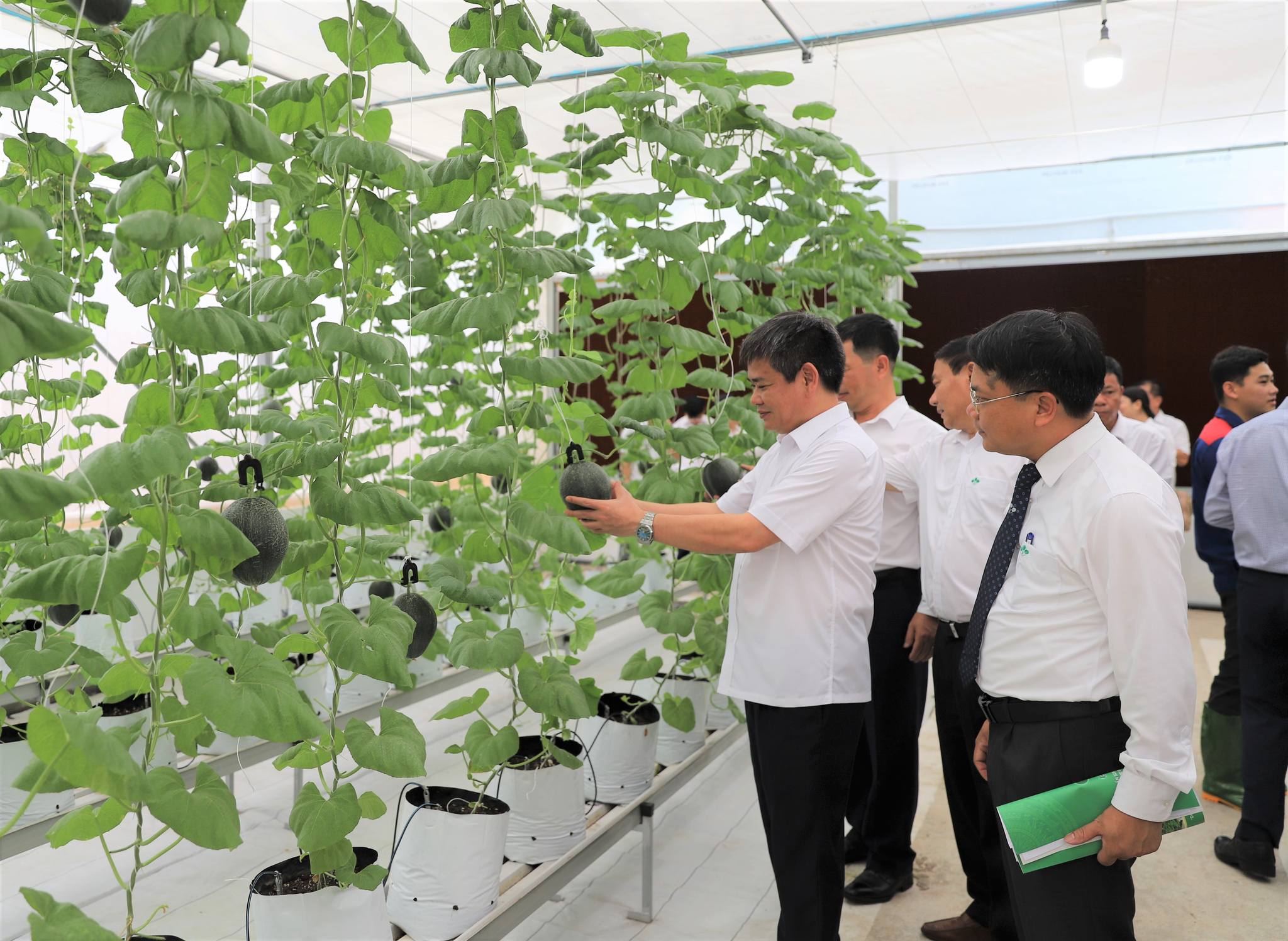 Supe Lâm Thao và bí quyết riêng tạo ra các sản phẩm phân bón được triệu nông dân tin dùng - Ảnh 3.