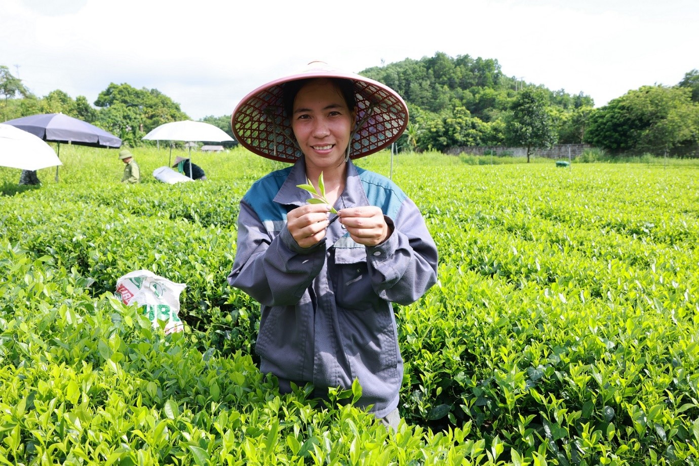 Tân Hiệp Phát: 3 thập kỷ tiên phong kiến tạo giá trị để phụng sự xã hội- Ảnh 4.