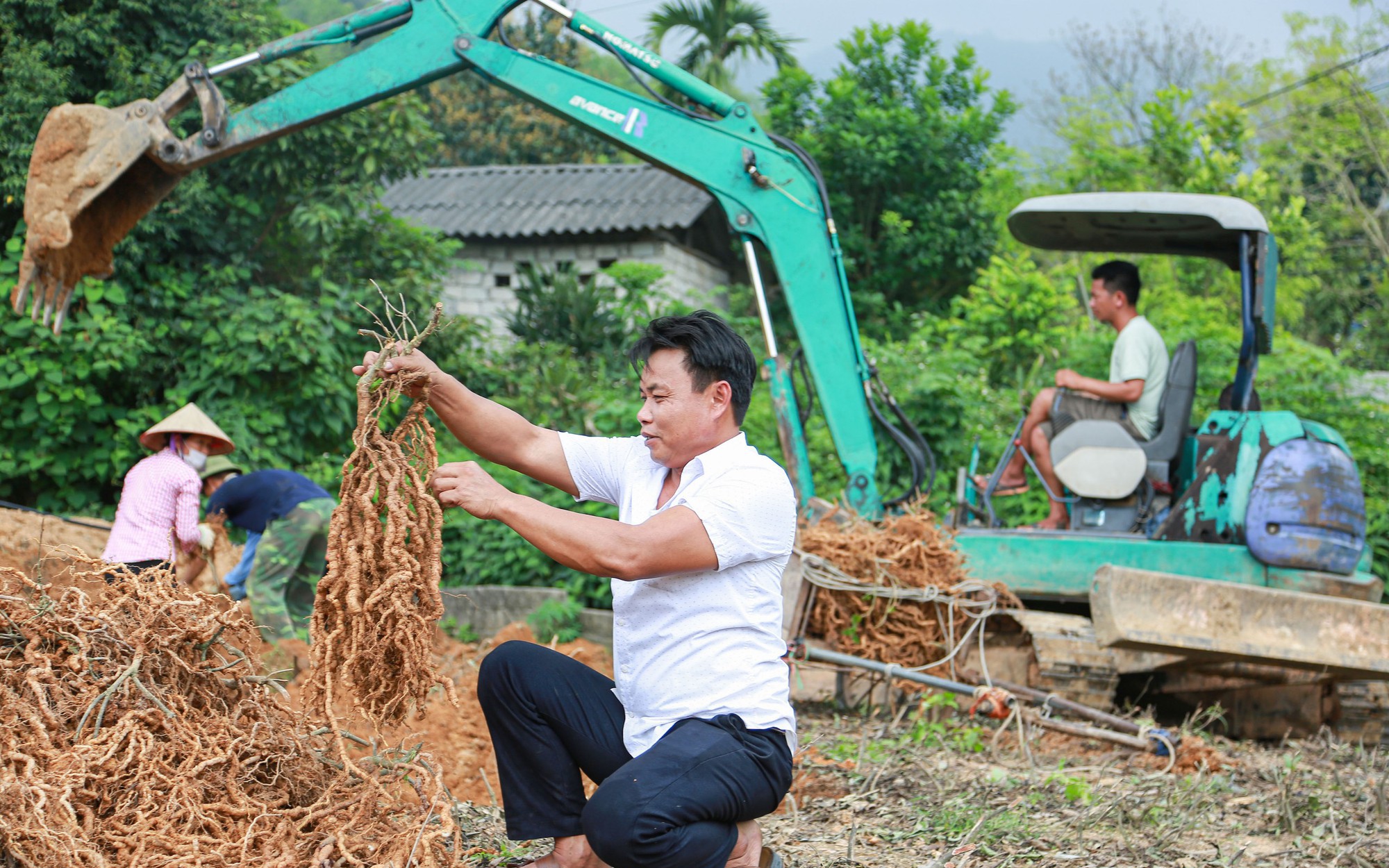 Một xã ở Hà Giang, đường nông thôn mới thông thoáng, muôn hoa khoe sắc, nương chè đẹp như phim - Ảnh 4.