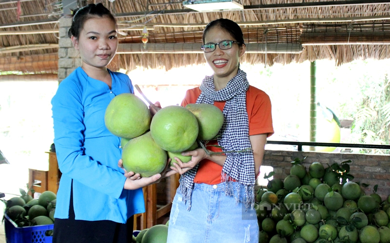 Nông sản Đồng Nai “tự trói buộc” vào vòng kiểm soát chất lượng để thâm nhập chuỗi siêu thị TP.HCM - Ảnh 1.