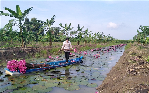 Một xã ở Hà Giang, đường nông thôn mới thông thoáng, muôn hoa khoe sắc, nương chè đẹp như phim - Ảnh 2.