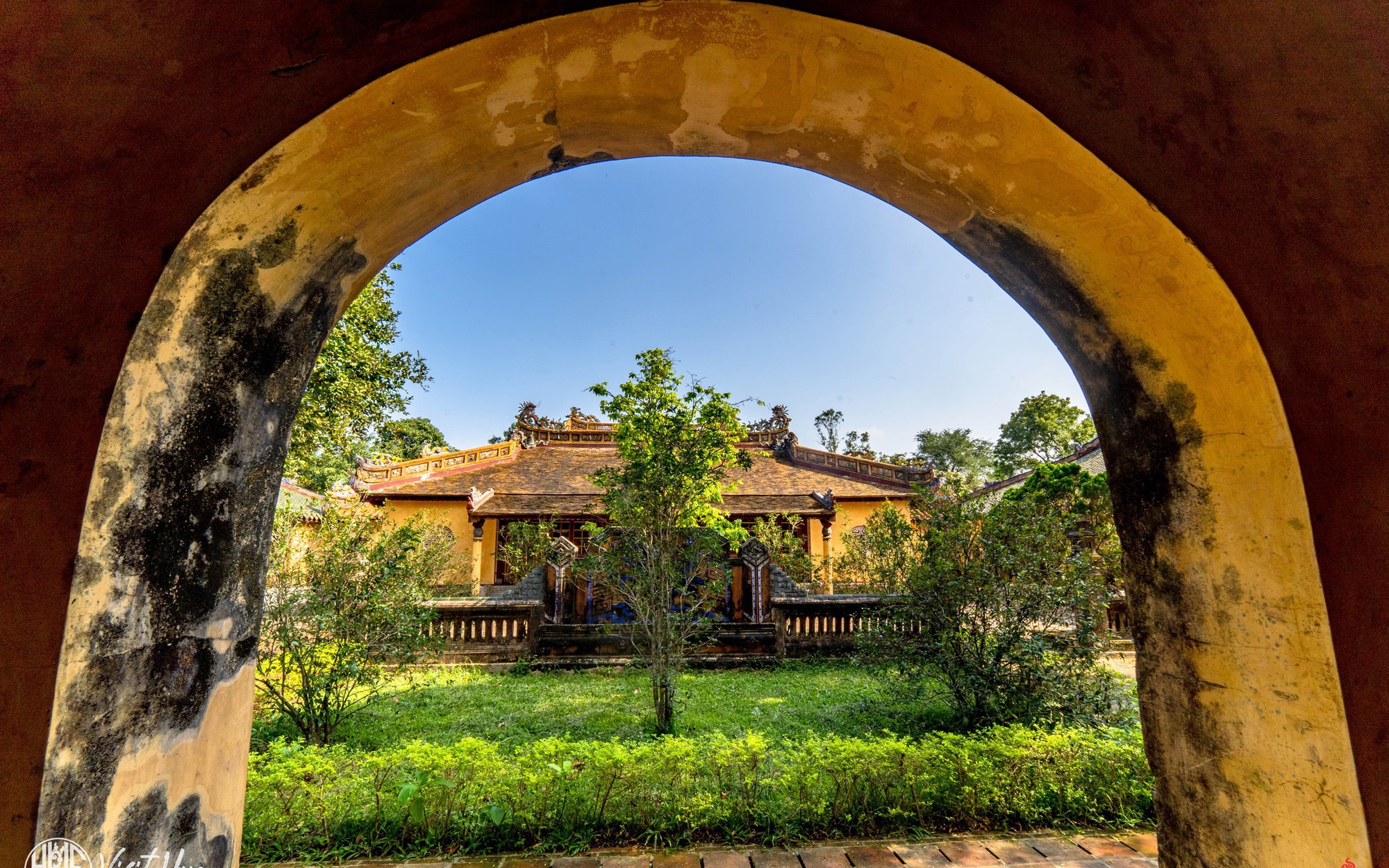 Cho nghìn con gà ăn toàn thảo dược quý, chị nông dân Hà Nội khiến hai nông dân đến từ Mỹ thán phục - Ảnh 3.