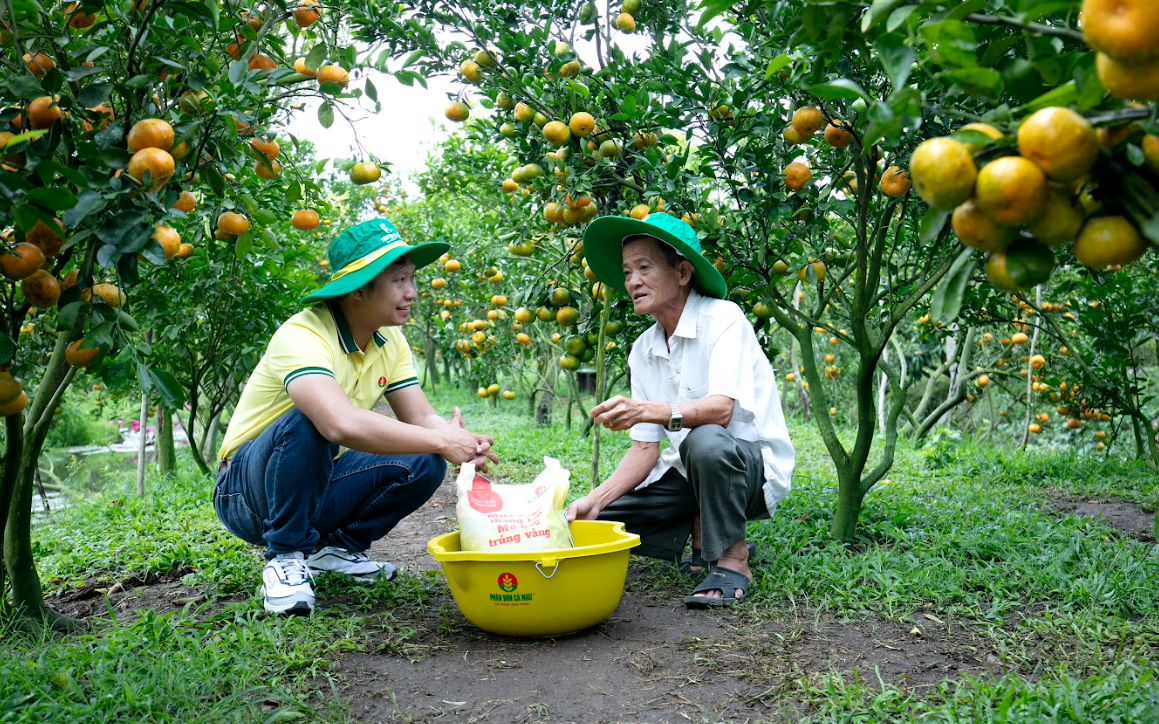 Áp thuế VAT 5% với phân bón, nhà nước và doanh nghiệp được lợi, nông dân thiệt thòi - Ảnh 2.