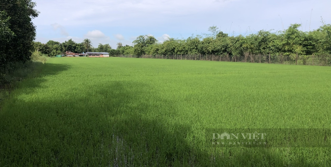 Bình Thuận: Ra mắt Chi hội nông dân"Sản xuất lúa chất lượng cao", tập huấn phân loại chất thải rắn sinh hoạt tại nguồn - Ảnh 2.