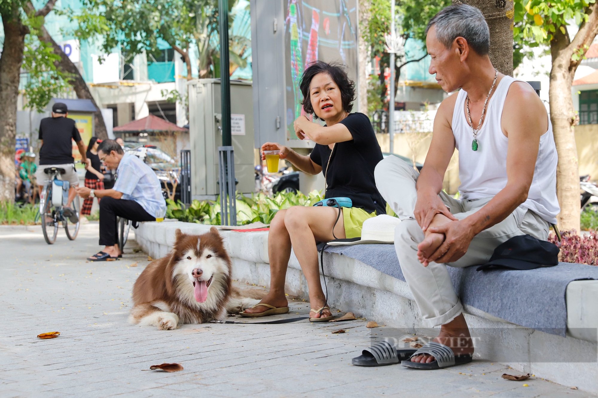 Diện mạo mới của hồ từng nuôi thiên nga ở Hà Nội sau khi được đầu tư gần 90 tỷ đồng- Ảnh 7.