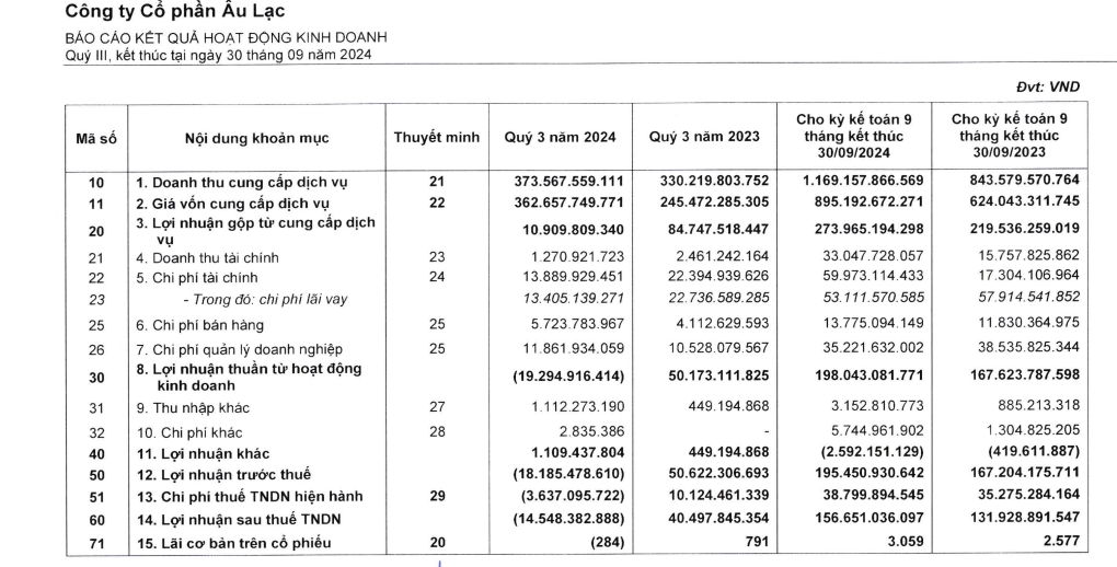 CTCP Âu Lạc của bà Ngô Thu Thúy lỗ hơn 18 tỷ trong quý III/2024- Ảnh 1.