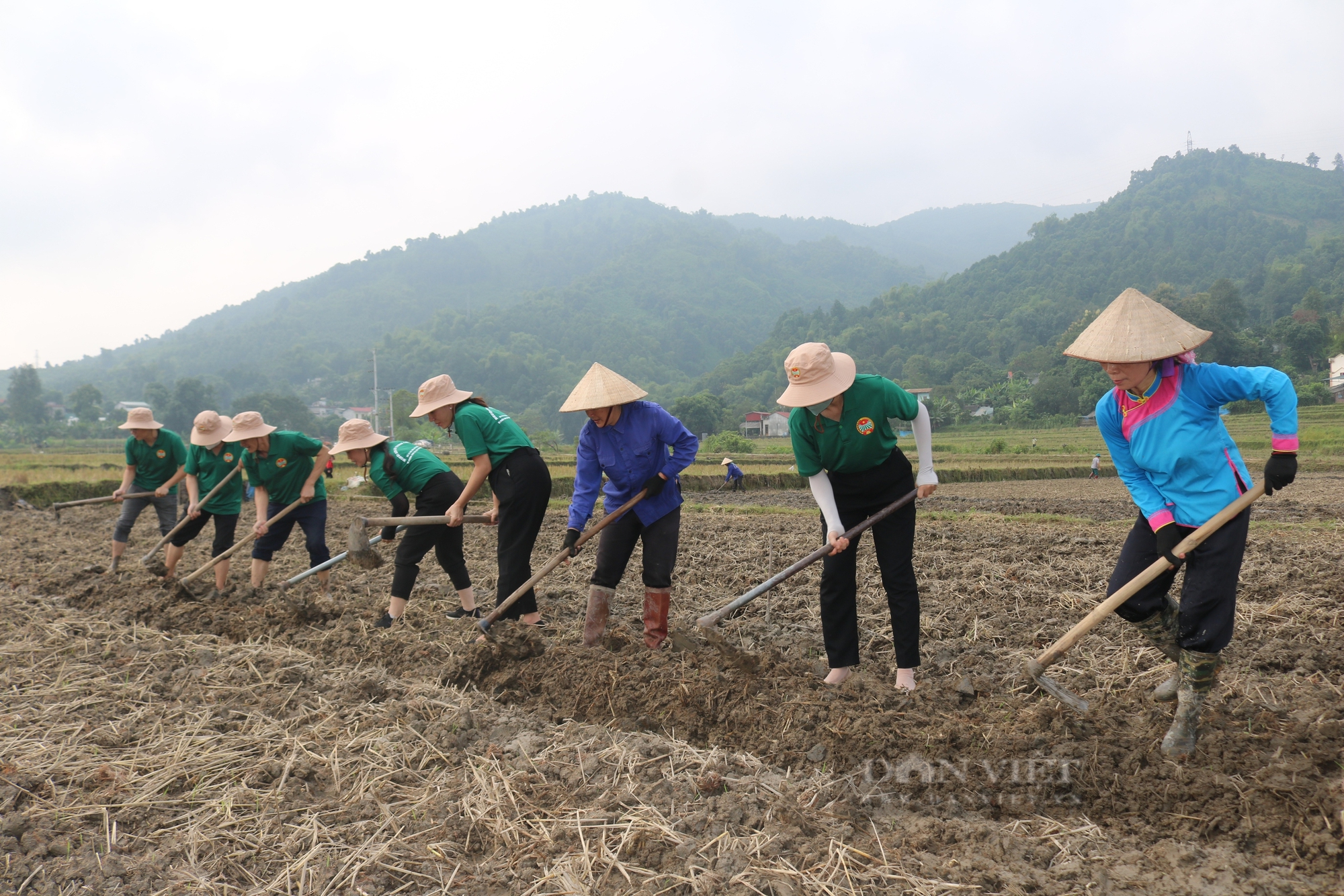 Hội Nông dân tỉnh Lào Cai hỗ trợ hội viên nông dân khôi phục sản xuất  - Ảnh 7.