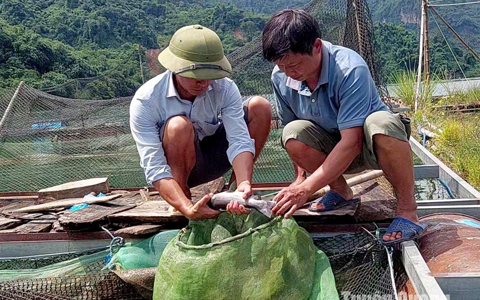 Nuôi chồn hương, con động vật hoang dã đẻ sòn sòn, ông nông dân Vĩnh Long cứ bán 1 con lãi 6 triệu - Ảnh 3.