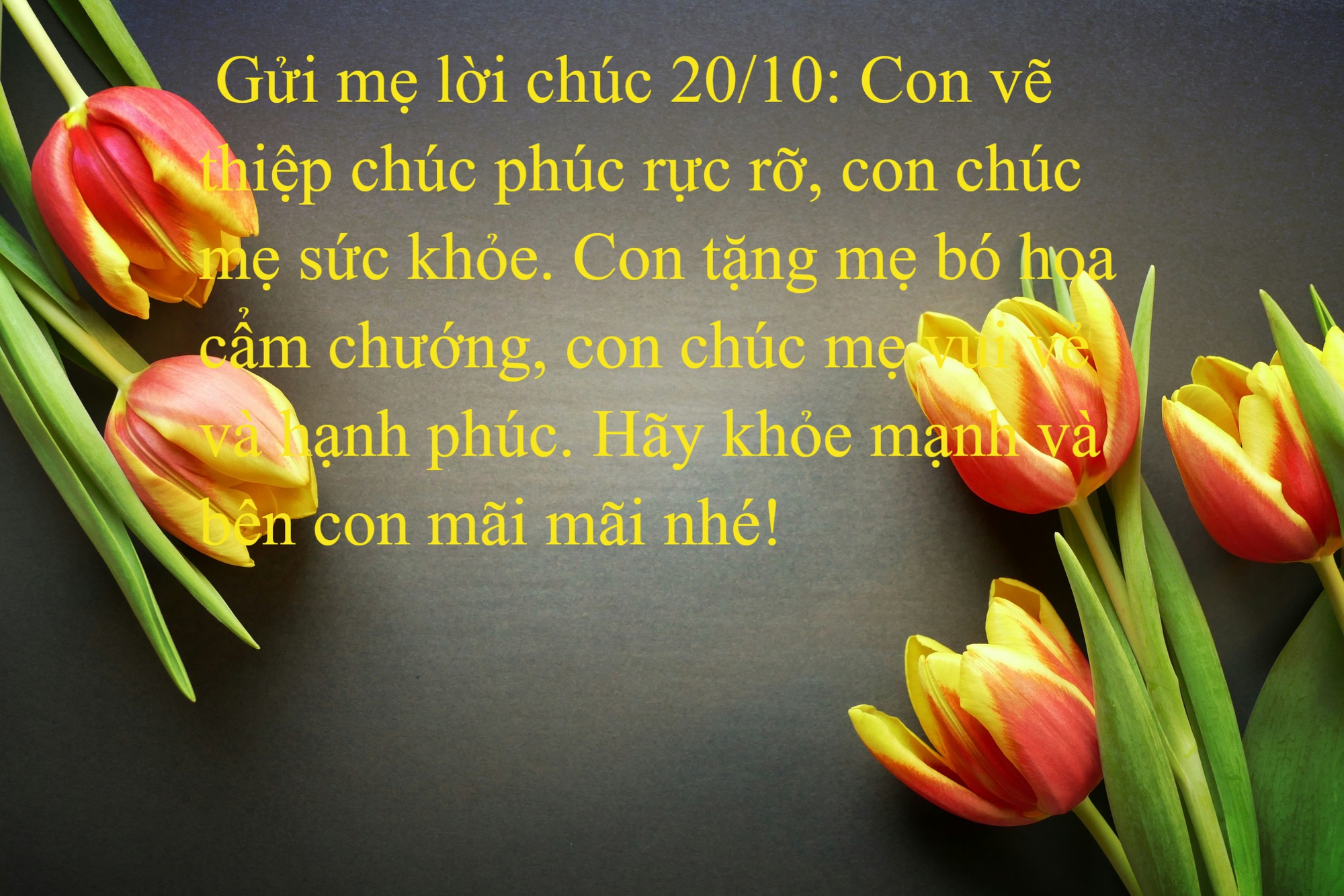 50 lời chúc 20/10 năm 2024 mới nhất, độc đáo nhất, ý nghĩa nhất - Ảnh 1.