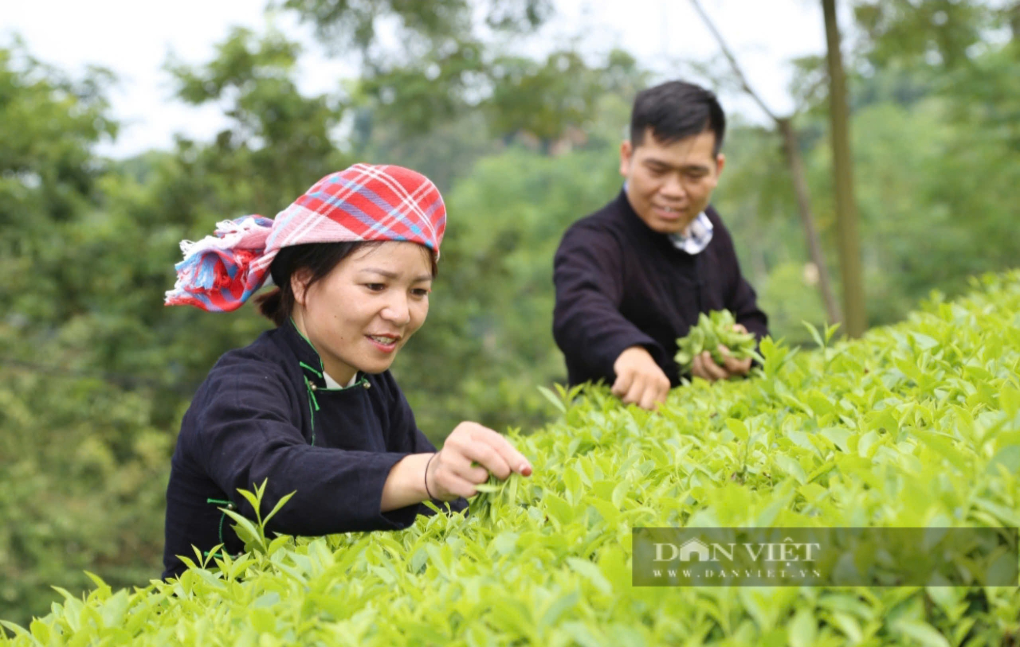 Nông dân góp đất, góp công, đồng lòng cùng chính quyền xây dựng nông thôn mới - Ảnh 14.