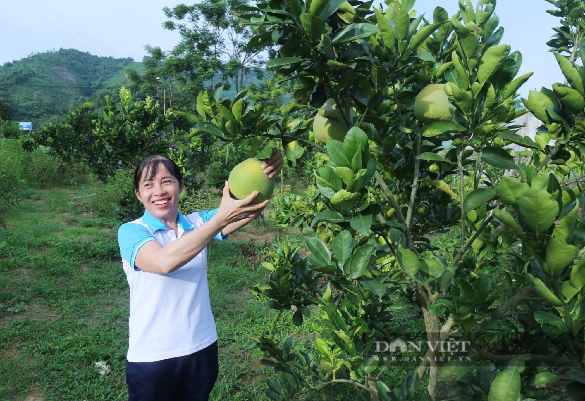 Nông dân góp đất, góp công, đồng lòng cùng chính quyền xây dựng nông thôn mới - Ảnh 15.